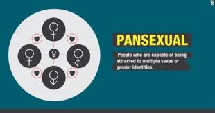 Pin On Lgbtq