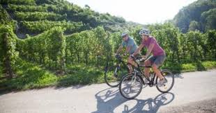 Weinradeln Im Heilbronnerland Vom Taubertal Bis Zur Schwabischen Alb Erschliesst Der Wurttemberger Weinradweg Das Weinland Wurttemb Weinland Wurttemberg Radeln