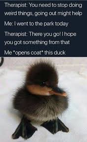 Going Out Helps And This Duck Funny Animal Memes Cute Funny Animals Funny Relatable Memes