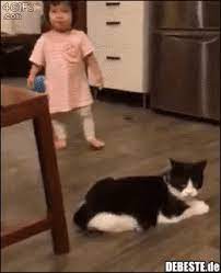 See more ideas about good morning, gif, good morning picture. 74 Lustige Gifs Kinder Kinder Lustig Debeste