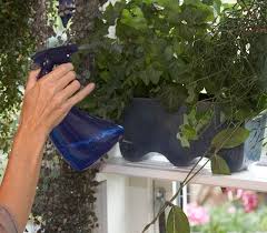 Maybe you would like to learn more about one of these? Pin Pa Odling