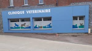 La clinique sera ouverte de 8h30 à 13h les jeudis 24 et 31 décembre. A Marpent Le Cabinet Veterinaire Est Devenu Clinique