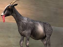 Now, you'll want to go to the pentagram in the corner of the map. Goat Official Goat Simulator Wiki