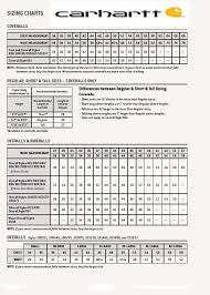 Carhartt Men S Jacket Size Chart