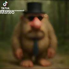 Mateo Mateo Mateito