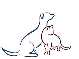 But what most impressed me was the friendly and kind heart of the people and the veterinarians. Pacific Park Animal Hospital 61 Recommendations Laguna Niguel Ca