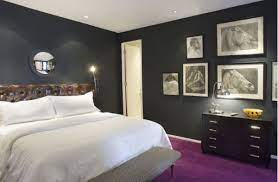 Purple Carpet Home Depot Carpet Carpet Design Modern Carpets Design