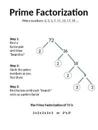 Is 72 a composite number? Prime Factorization Chart Worksheets Teaching Resources Tpt