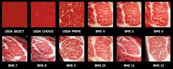 Why Grass Finished Beef Marbling Is Difficult On Pasture