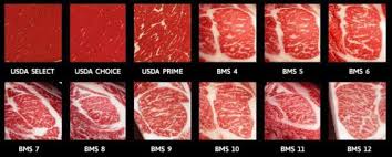 why grass finished beef marbling is difficult on pasture