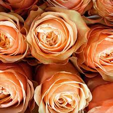 Amato's wholesale florists דנוור מיקוד 80229. Sometimes The Words Thank You Amatos Wholesale Florist Facebook