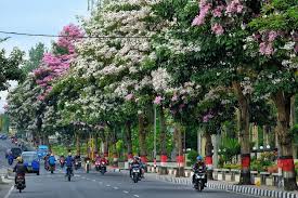 Tanaman hias untuk taman kecil. Jenis Tanaman Apa Saja Yang Sebaiknya Ditanam Pada Taman Kota Taman Dictio Community