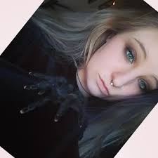 Low maintenance insect suggestions for my collection