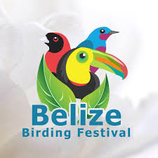 Flock To Belize For The 2020 Annual Birding Festival Belize Belize Vacations Festival
