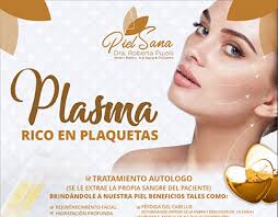 Pujols Projects :: Photos, videos, logos, illustrations and branding ::  Behance