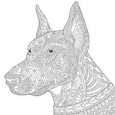 Animals coloring pages, doberman coloring pages, doberman coloring pages for back to school, doberman coloring pages for children, doberman coloring pages for kids, doberman coloring pages for kindergarten, doberman coloring pages for preschool, doberman coloring pages idea for kids, doberman coloring pages printable for preschool, doberman homework for preschool, doberman preschool and. Doberman Coloring Pages