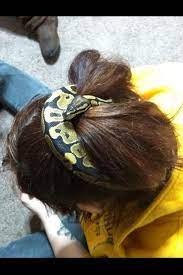 Jackie O The Best Hair Accessory My Normal Ball Python Ball Python Normal Ball Python Ball Python Morphs