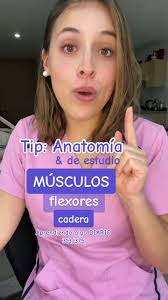Aprendiendo sobre los Flexores de la Cadera en Anatomía y Ortopedia