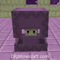 This video is intended for the general audience and n. How To Make A Shulker Shell In Minecraft