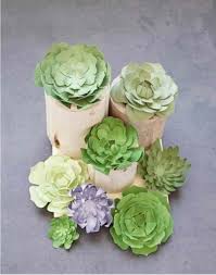 Diy Paper Succulents Domestic Heights