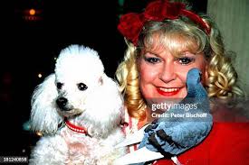 89 Sächsisch Stock Photos, High-Res Pictures, and Images