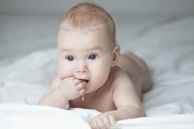 نتیجه جستجوی لغت [drooling] در گوگل