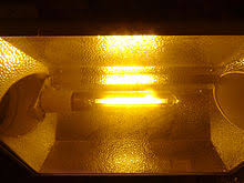 Led vs hps grow lights: Grow Light Wikipedia