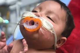 Fundraiser for Dannys l Galan mejia by Lusero Gonzalez : Dylan's Funeral  Expenses