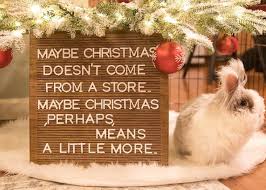 Friendship quotes love quotes life quotes funny quotes motivational quotes inspirational quotes. Oxbow Animal Health This Grinch Quote Made Our Heart Grow Three Sizes Happy Holidays Photo By Instagram S Thehomebunnies Https Okt To K2idoh Facebook