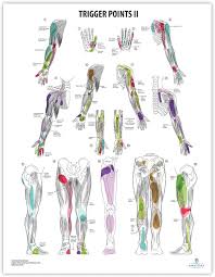 Image result for Trigger Point