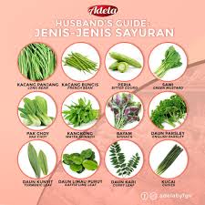 Segar & murah dari wonderful. Adela Malaysia Tak Kenal Jenis Jenis Sayuran It S Ok Facebook