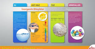 Gozde Aytekin Adli Kullanicinin 3 Internet Egitsel Panosundaki Pin Inorganik Infografik Biyoloji Dersi
