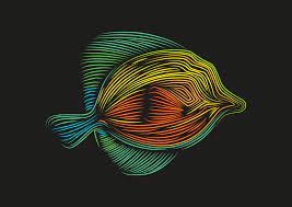 Check spelling or type a new query. Ikan Ocean Bawah Air Gambar Vektor Gratis Di Pixabay