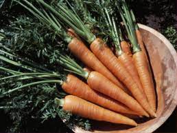 images?q=tbn:ANd9GcRPLogMObEaAN4sl21A1Ml