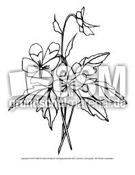 Ausmalbild Stiefmutterchen Ausmalbilder Blumen Fruhling Jahreszeiten Hus Klasse 1 Grundschulmaterial De