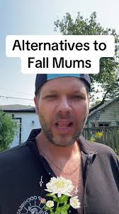 What Can I Use in A Replacement for Blooming Child