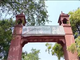 Alwar News | तेज रफ्तार का कहर! अलवर ...