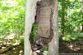 See the magical fairy trail hidden in suburban new jersey. Fairy Trail Rules At The South Mountain Fairy Trail New Jersey Is The Best