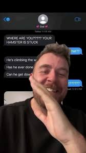 Ninja Hamster Climbing Wall