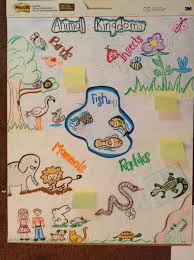 Animals Anchor Chart Kindergarten Kindergarten Anchor