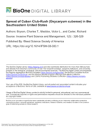 Image result for Oxycaryum