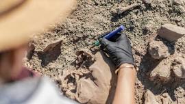 Digging for Dinos