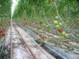 الباسيتي الكالا دي هيناريس ألكورون الجزيرة الخضراء اليكانتي الميريا بطليوس بادالونا برشلونة بلباو بورجوس كاديز قرطاجنة كاستيلون دي لا بلانا قرطبة إلتشي فوينلابرادا. Ø£Ù„Ù…ÙŠØ±ÙŠØ§ Ø¨Ø­Ø± Ø§Ù„Ø¨Ù„Ø§Ø³ØªÙŠÙƒ