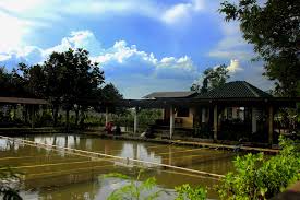 Hobi Mancing Yuk Ke Tempat Wisata Mancing Di Bandung