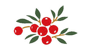 Crystal floral monograms 2 embroidery design pack by ace points. Projects And Free Patterns Brother Sewing And Craft