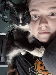 A young orange tabby boy named Pekelo came to our shelter in January and  went into foster care with Shannon Whitehorn . Once all his vetting was  completed, Pekelo came to the