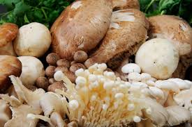 Dari ketika membesar di kampung sampailah ke hari ni sebagai ibu. Cendawan Boleh Halang Obesiti Dan Buat Kulit Jadi Anjal Ikut Tip Dan Resipi Ni