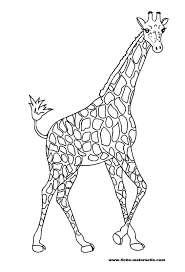 Comment dessiner un animal et plus précisément une joli girafe jaune. Coloriage Girafe Les Beaux Dessins De Animaux A Imprimer Et Colorier Coloriage 2