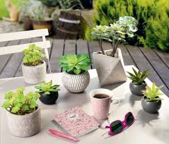 L Assortiment De Plantes Deco Jungle Deco Tendance Deco