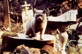 Maybe you would like to learn more about one of these? Is Pet Sematary On Netflix
